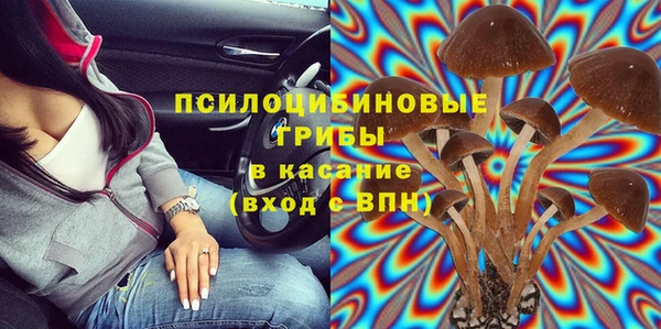 дживик Дмитриев