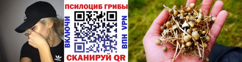 Псилоцибиновые грибы GOLDEN TEACHER  Назрань 